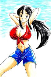 area5169458561 arms_up bra breasts chichi cleavage dragon_ball dragon_ball_z female huge_breasts long_hair ponytail shorts top_heavy traditional_media_(artwork)