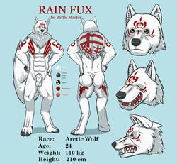 1boy 2014 anthro arctic balls bara canine fur furry fux male male_only mammal markings model_sheet nude rain rainfux raus sheath simple_background solo white_fur wolf