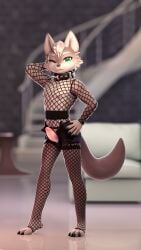 3d_(artwork) 9:16 bottomwear canid canine canis clothing digital_media_(artwork) dog-n-shark domestic_dog femboy fishnet_clothing genitals hi_res hotpants humanoid_genitalia humanoid_penis inside male mammal minishorts penis pose shorts solo