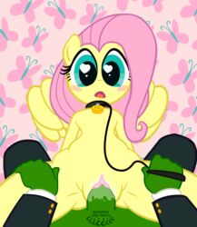 2014 animated anonymous anthro blush clothing collar cum duo equine female fluttershy_(mlp) friendship_is_magic fur hair human leash male mammal my_little_pony pegasus penetration penis pink_hair pussy straight straight_hair unseen_male_face vaginal_penetration wicked-at-heart wings yellow_fur