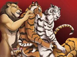 anthro blackteagan feline fur furry furry_only lion male male_only mammal multiple_males no_humans tiger white_tiger yaoi