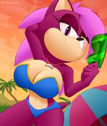 1girl anthro big_breasts bikini black_bra bra breasts clothed clothed_female clothing dic_entertainment female female_only furry furry_female furry_only purple_eyes sega slickehedge solo solo_female solo_focus sonia_the_hedgehog sonic_(series) sonic_the_hedgehog_(series) sonic_underground violet_eyes