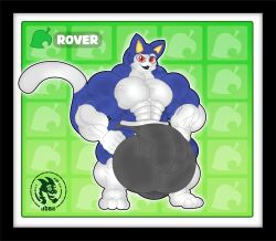 abs animal_crossing anthro balls big_balls big_bulge big_muscles big_tail blue_body blue_fur bulge cat_tail clothing detailed_background detailed_bulge domestic_cat felid feline felis fur genitals hi_res huge_bulge hyper hyper_bulge hyper_genitalia jdbo-arts jockstrap jockstrap_bulge male male/male mammal muscular nintendo pecs pupils red_eyes rover_(animal_crossing) slit_pupils smile solo tail underwear white_arms white_legs