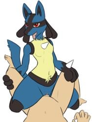 lucario from nintendo by kalama