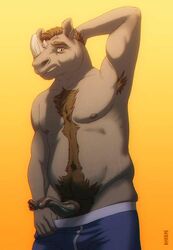 anthro armpit_hair body_hair chest_tuft chubby fur furry happy_trail horn kannos male male_only navel nipples penis rhinoceros solo tuft