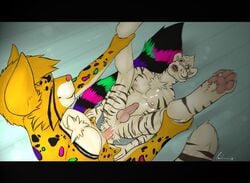 2014 anal anthro balls cum cum_while_penetrated feline fur furry furry_only gay green_eyes hair_tuft humanoid_penis leopard lying male mammal marcan on_back penetration penis rach_verity tiger white_tiger