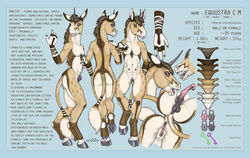 animal_genitalia ankh anthro anus breasts chest_tuft crotchboob ecmajor equine equustra female fur furry hooves horn horsecock male mammal model_sheet navel nude penis pussy sexshifter tattoo tuft unicorn