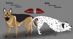 anatomically_correct canine dalmatian dildo female feral german_shepherd internal karma_(character) knot mammal pussy sex_toy twindrags