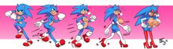 sonic the hedgehog from sonic (series)