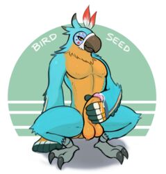 anthro avian bad_pun balls bedroom_eyes bird breath_of_the_wild cum half-closed_eyes kass_(zelda) male male_only masturbation muscular muscular_male nintendo pecs penile_masturbation penis rito seductive smile the_legend_of_zelda unknown_artist_(artist) video_games