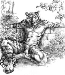 anthro balls barbs blotch feline flaccid fur furry looking_at_viewer male male_only mammal nude outdoors penis resting sitting solo tiger