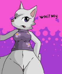 2014 animal_crossing anthro bottomless breasts character_name female female_only fur furry kai-ten kaivolate medium_breasts nintendo open_mouth partially_clothed purple_eyes pussy solo source_request uncensored video_games whitney_(animal_crossing) wolf