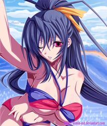akeno himejima from high school dxd by animius