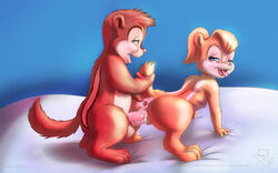 1boy 1boy1girl 1girls all_fours alvin_and_the_chipmunks alvin_seville balls blue_eyes brittany_miller chipettes chipmunk cum cum_in_pussy cum_inside female fluffy_tail furry hairband half-closed_eyes hi_res looking_at_viewer male mammal open_mouth penetration penis pussy repost rodent sex shaded straight tail_grab tongue tongue_out vaginal_penetration vein zeroseven