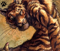 anthro blotch feline fur furry male male_only mammal solo tiger