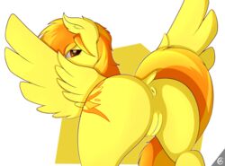 2014 alpha_channel anus ass capseys cutie_mark equine female friendship_is_magic fur hair looking_at_viewer mammal my_little_pony orange_hair pegasus plain_background pussy solo spitfire_(mlp) transparent_background two_tone_hair wings wonderbolts_(mlp) yellow_fur