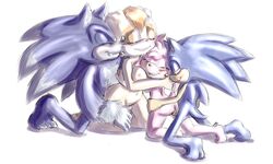 2013 amy_rose anthro ass bisexual blue_eyes blue_fur blue_hair bluechika blush breasts closed_eyes female from_behind fur group hair hedgehog hug lagomorph licking male mammal nude penetration penis pink_hair plain_background pussy rabbit sega sex shaded sonic_(series) sonic_the_hedgehog sonic_the_werehog sonic_unleashed square_crossover straight tongue tongue_out vaginal_penetration vaginal_penetration vanilla_the_rabbit werehog white_background