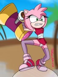 amy_rose amy_rose_(boom) pink_body sonic_(series) sonic_boom tangrinerizo thigh-high upskirt upskirt_view white_panties