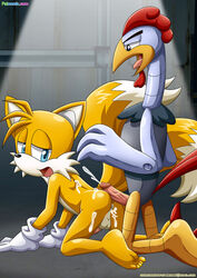 adventures_of_sonic_the_hedgehog anal anal_sex anthro anus ass avian balls bird canine chicken cum cum_in_ass cum_inside erection fox fur furry interspecies machine male male_only mammal mechanical multiple_males open_mouth penetration penis protagonistsub_antagonistdom robot scratch_(sonic) sega sex sonic_(series) tails yaoi