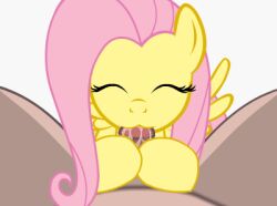 1boy 1girls :3 animated blowjob completely_nude equine feathered_wings feathers fellatio feral first_person_view fluttershy_(mlp) friendship_is_magic hasbro human human_male interspecies male_pov mare my_little_pony my_little_pony_friendship_is_magic naked nude nude_male nudity oral oral_sex pegasus pony pov precum tiarawhy wings