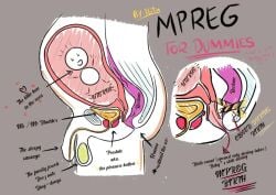 educational male male_pregnancy mpreg pregnant tagme text x-ray