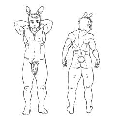 1p3p3nis absurd_res acne anthro armpit_hair ass body_hair genitals hair hare hare_(1p3p3nis) hi_res lagomorph leporid male male_only mammal monochrome muscular muscular_anthro muscular_male nipples pecs penis pubes scut_tail short_tail solo tail