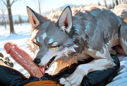 1boy ai_generated blowjob canine cum cum_in_mouth fellatio fellatio_from_feral feral genitals male male_on_feral oral oral_penetration penetration penile penis penis_in_mouth sex stable_diffusion tongue tongue_out tongue_out_blowjob winter wolf zoophilia