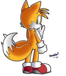 anthro ass back canine fox fur furry looking_at_viewer looking_back male male_only mammal penis sega senshion sonic_(series) sonic_team sonic_the_hedgehog_(series) sonic_the_hedgehog_2 standing tails tails_the_fox transparent_background