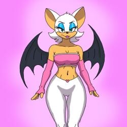 female gym_clothes rouge_the_bat solo solo_female