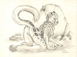 anthro anus breasts feline female fur furry leopard looking_at_viewer mammal monochrome nude pussy scale_(artist) solo