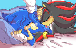shadow the hedgehog from sega by angelofhapiness