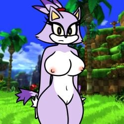 big_ass big_breasts blaze_the_cat female_only gloves_only kayser2001 nude_female sonic_(series) yellow_eyes