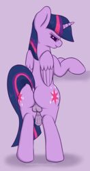 Twilight Sparkle (Mlp) Rule 34 Image