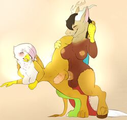 2014 anthro anthrofied avian balls beak blush breasts brown_fur discord_(mlp) draconequus duo friendship_is_magic fur futanari gilda_(mlp) gryphon herm herm_on_herm horn intersex my_little_pony nipples nude penetration penis plain_background sex sinibeau spread_legs spreading standing straight_hair uncensored vein white_fur wings