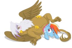 2014 avian beak blue_fur blush brown_fur duo equine female feral friendship_is_magic fur gilda_(mlp) gryphon hair hindpaw lying mammal multicolored_hair my_little_pony on_back paws plain_background purple_eyes pussy pussy_juice rainbow_dash_(mlp) rainbow_hair shadow spread_legs spreading themirth unbirthing vore what white_background white_fur wings yuri