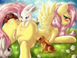 2014 absurdres ambiguous_gender angel_(mlp) anus ass blush brown_fur dimwitdog easter equine female fluttershy_(mlp) friendship_is_magic fur grass group hasbro highres holidays lagomorph long_hair looking_at_viewer lying mammal my_little_pony on_front outdoors pegasus pink_fur pussy rabbit straight_hair white_fur wings yellow_fur