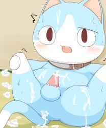 1boy anthro anus belt blush confused cum cum_in_ass doko_demo_issho domestic_cat excessive_cum furry furry_only light_blue_fur male male_only motion_lines small_penis sora_(doko_demo_issho) tail