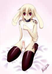 2012 :< anthro bed collar cute erection fur furry girly gradient_background kneeling lagomorph looking_at_viewer male male_only mammal nataly-b penis pink_eyes rabbit solo solo_male stockings yellow_fur yoshino_iko