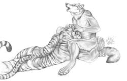 anthro ass blotch canine feline fellatio fur furry furry_ass furry_only furry_tail gay interspecies male male_only mammal monochrome multiple_males nude oral tail tiger whiskers white_background wolf