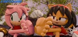 3d_(artwork) 5_toes amy_rose anthro bench digital_media_(artwork) duo feet female female/female foot_fetish foot_focus honey_the_cat humanoid_feet kirbychan0 outside plantigrade sega soles sonic_(series) sonic_the_fighters sonic_the_hedgehog_(series) toes