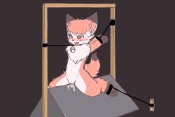 absurd_res anthro bondage bondage bound canid canine female forced fox hi_res mammal nia_(senz) punishment solo unknown_artist wooden_horse wooden_horse_(device)