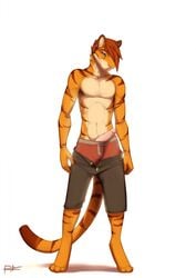 1boy 2014 anthro clothed clothing erection feline hair lost-paw male male_only mammal penis plain_background shadow solo standing tiger underwear white_background