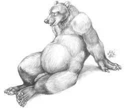 anatomically_correct anatomically_correct_penis animal_genitalia anthro bear blotch fur furry greyscale male male_only mammal monochrome penis realistic reclining solo