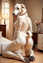 2024 ai_generated anthro anus ass borzoi breasts canid canine carnivalecloudmuncher domestic_dog female furry kneeling mammal nipples nude pussy raised_tail rear_view self_upload solo tagme tail tongue tongue_out