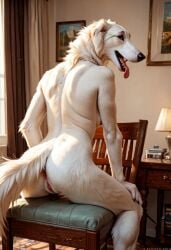 2024 ai_generated anthro anus ass borzoi breasts canid canine carnivalecloudmuncher domestic_dog female furry mammal nipples nude pussy raised_tail rear_view self_upload sitting sitting_on_chair solo tagme tail tongue tongue_out