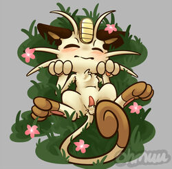 2014 anthro balls barefoot blush closed_eyes color cute erection feline flower hi_res high_resolution highres lying male male_only mammal meowth nintendo nude ohmuu on_back pawpads paws penis pokemon solo spread_legs spreading video_games