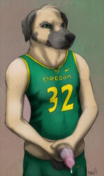 2014 anthro balls basketball black_nose canine clothed clothing college english_text erection fur great_dane green_eyes half-dressed looking_at_viewer male male_only mammal masturbation nike number paper_wings penis precum shirt shorts solo sports standing text