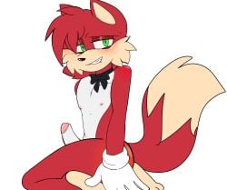 anthro dick femboy gay hard_dick horny kneeling male non-human oc posing sonic sonic_(series) sonic_oc wolf