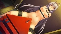 alice_soft areolae arms_behind_back blush bondage breasts female game_cg grey_hair highres large_breasts legs long_hair looking_at_viewer navel nipples nude orion_(orionproject) purple_eyes rance_(series) rance_ix senhime sitting solo sweat thighs