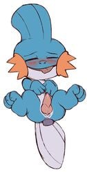 anal anal_insertion anal_sex blush dildo erection feline-fattale insertion male mudkip nintendo penetration penis plain_background pokemon pokemon_(species) pokemon_rse sex_toy solo video_games